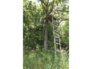 Property photo 17 - 1974 Acres in 23 Tracts Located in Christian, Hopkins & Edmonson County, Kentucky
