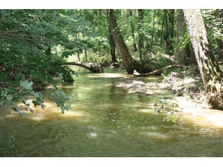 Property photo 16 - 1974 Acres in 23 Tracts Located in Christian, Hopkins & Edmonson County, Kentucky