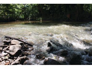 Property photo 23 - 1974 Acres in 23 Tracts Located in Christian, Hopkins & Edmonson County, Kentucky