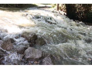 Property photo 14 - 1974 Acres in 23 Tracts Located in Christian, Hopkins & Edmonson County, Kentucky