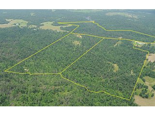 Property photo 26 - 1974 Acres in 23 Tracts Located in Christian, Hopkins & Edmonson County, Kentucky