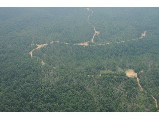 Property photo 3 - 1974 Acres in 23 Tracts Located in Christian, Hopkins & Edmonson County, Kentucky