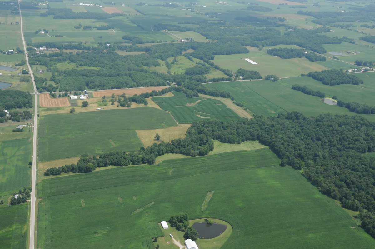 Property photo 41 - 146+/- Acres Offered in 4 Tracts