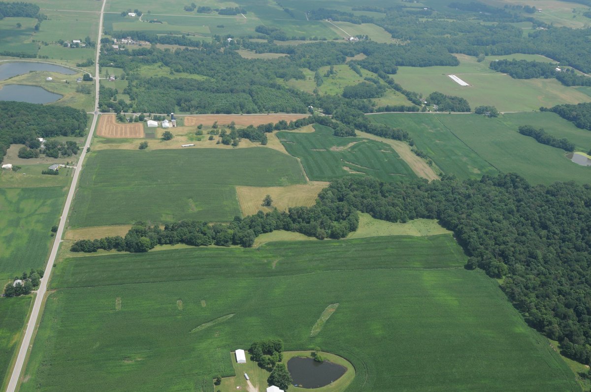 Property photo 32 - 146+/- Acres Offered in 4 Tracts