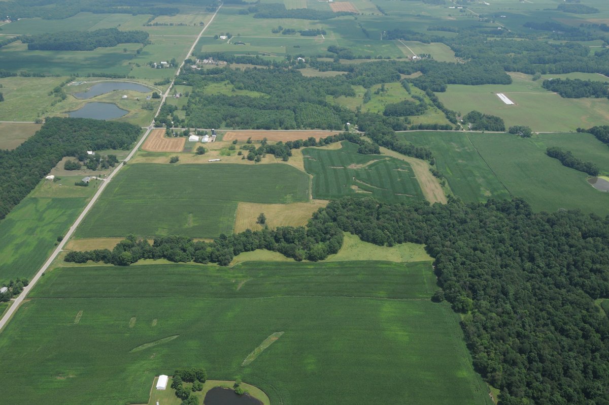 Property photo 9 - 146+/- Acres Offered in 4 Tracts