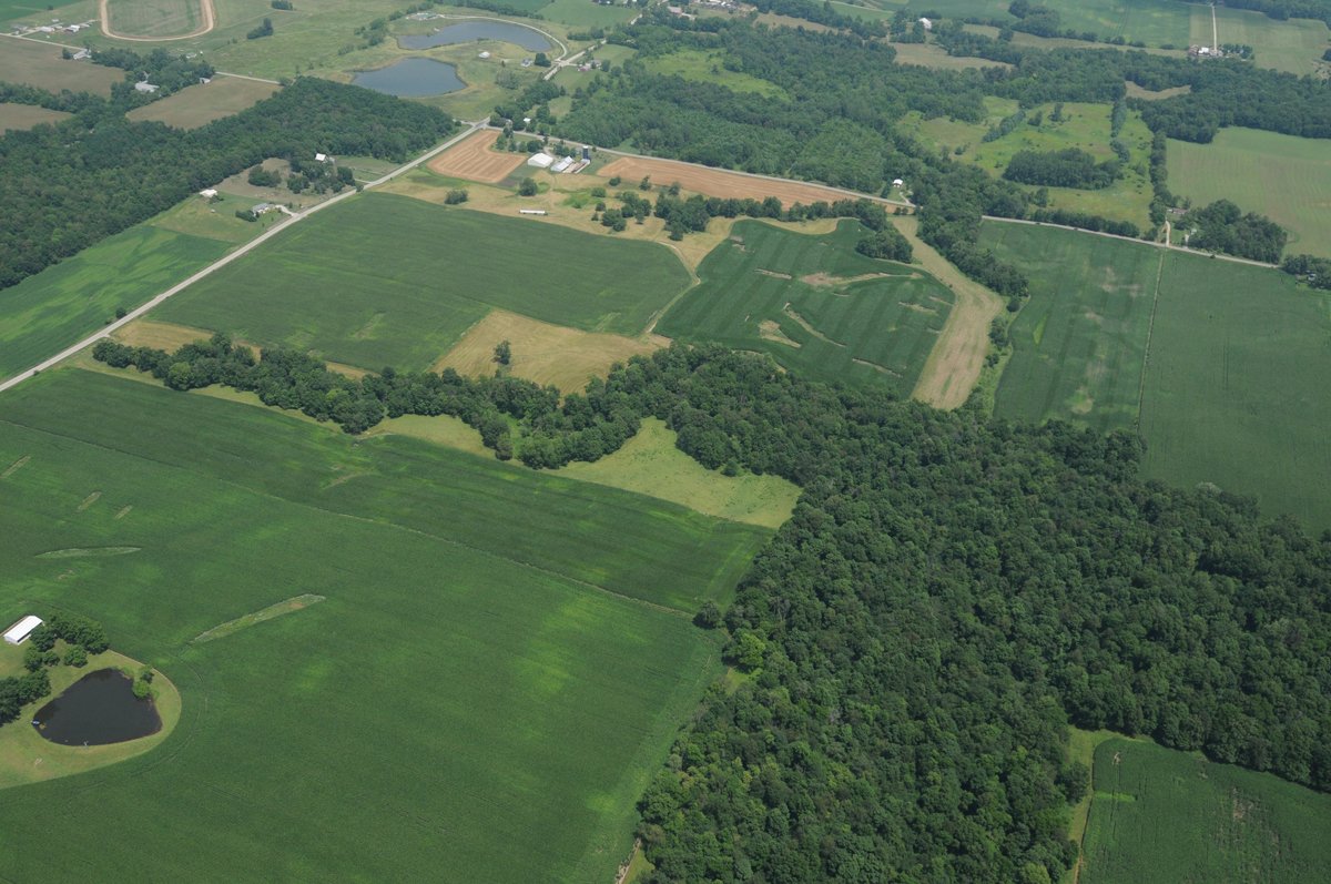 Property photo 28 - 146+/- Acres Offered in 4 Tracts