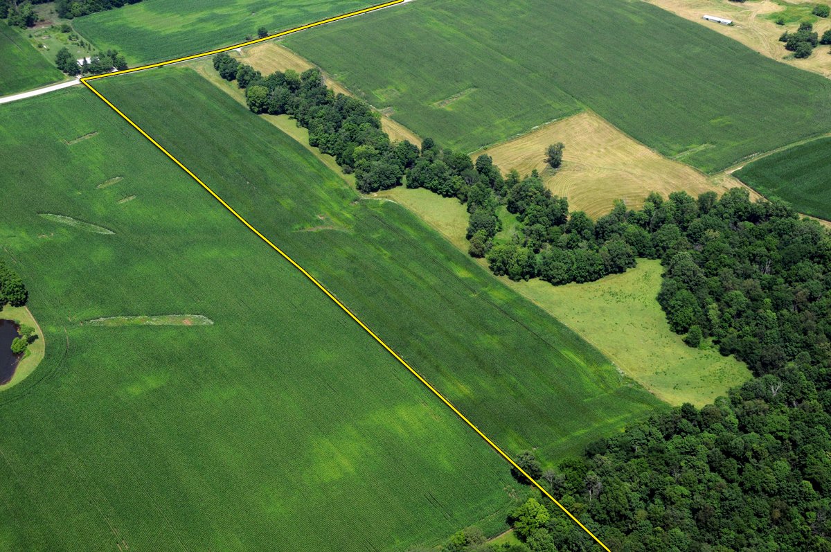 Property photo 6 - 146+/- Acres Offered in 4 Tracts