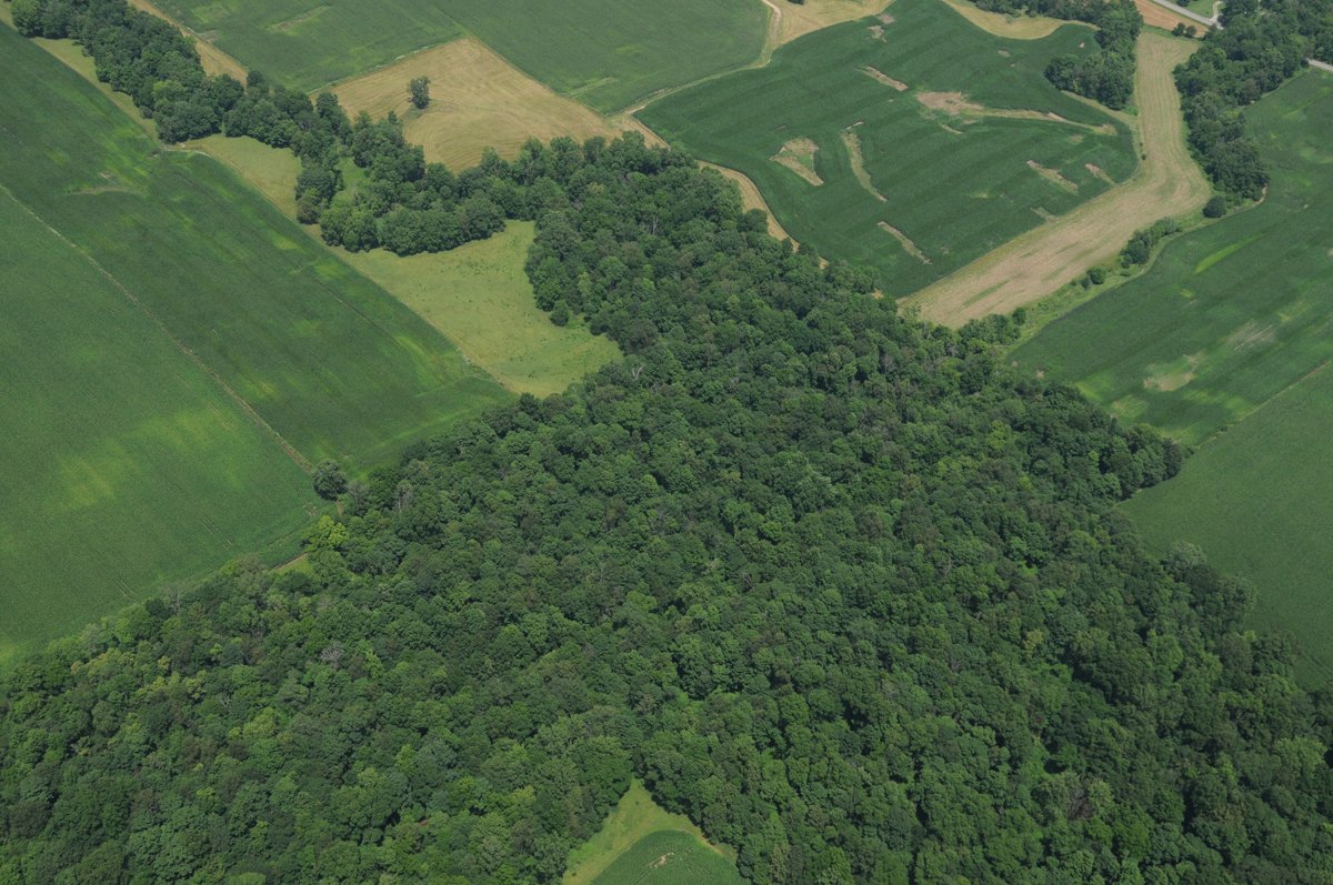 Property photo 42 - 146+/- Acres Offered in 4 Tracts