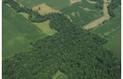 Property photo 42 - 146+/- Acres Offered in 4 Tracts