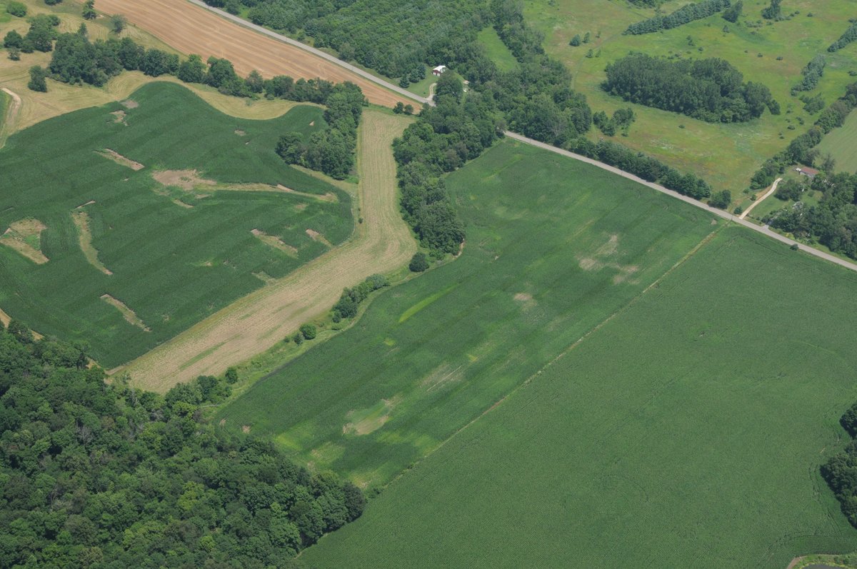 Property photo 26 - 146+/- Acres Offered in 4 Tracts