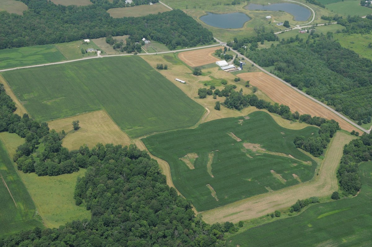 Property photo 5 - 146+/- Acres Offered in 4 Tracts