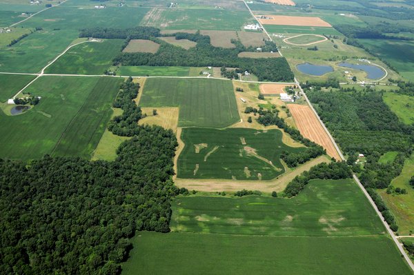 146+/- Acres Offered in 4 Tracts