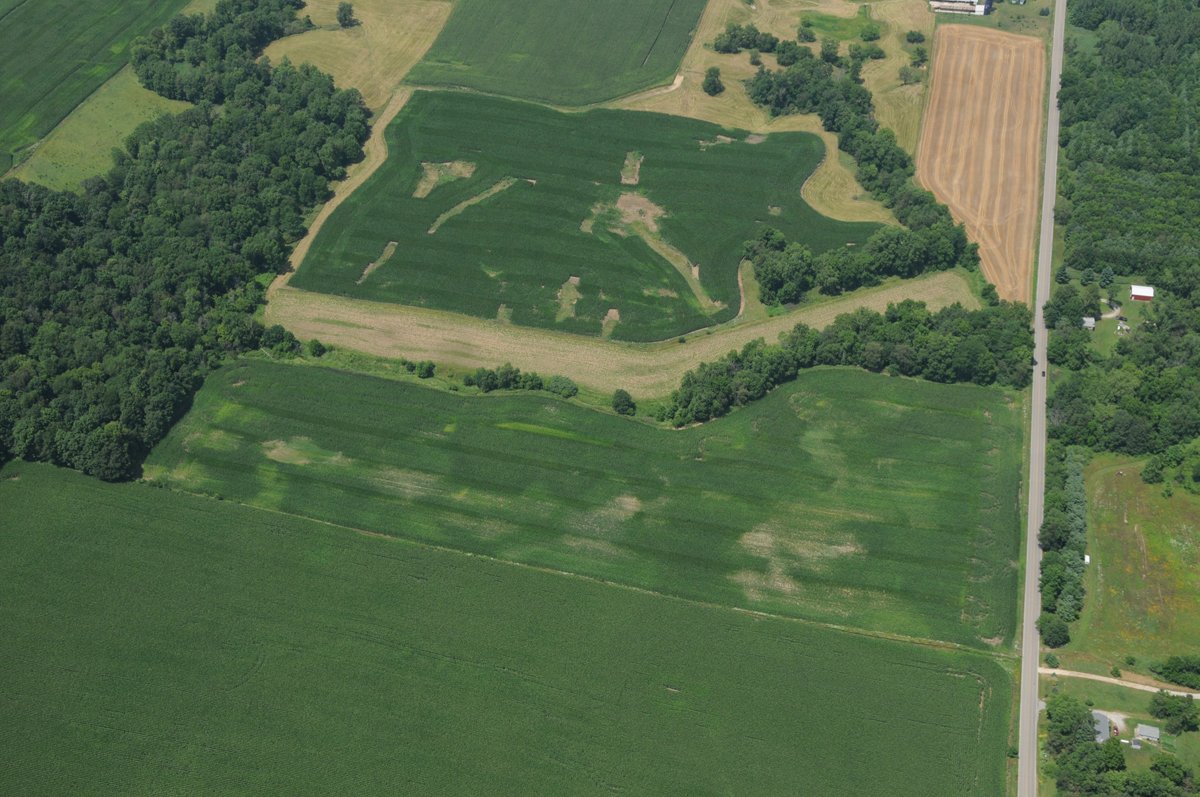 Property photo 24 - 146+/- Acres Offered in 4 Tracts