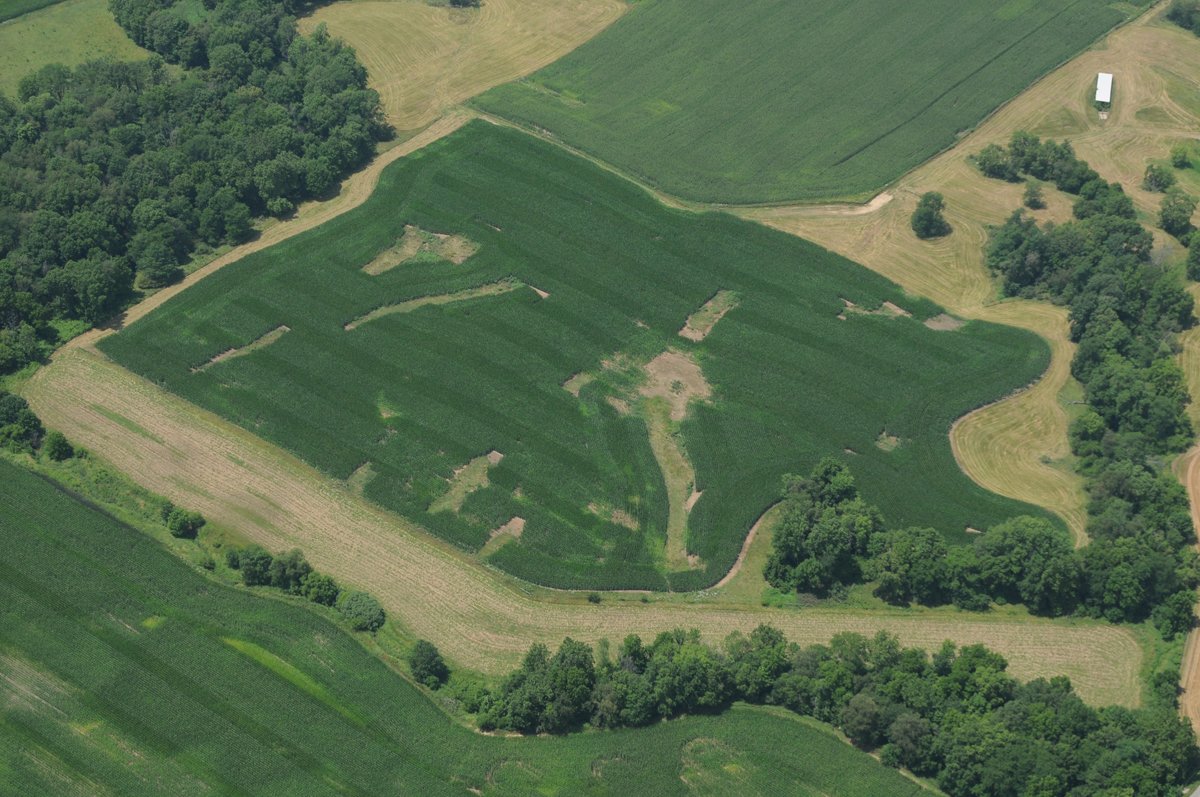 Property photo 38 - 146+/- Acres Offered in 4 Tracts