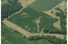 Property photo 38 - 146+/- Acres Offered in 4 Tracts