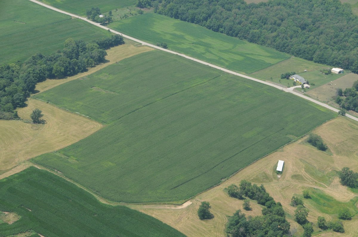 Property photo 45 - 146+/- Acres Offered in 4 Tracts