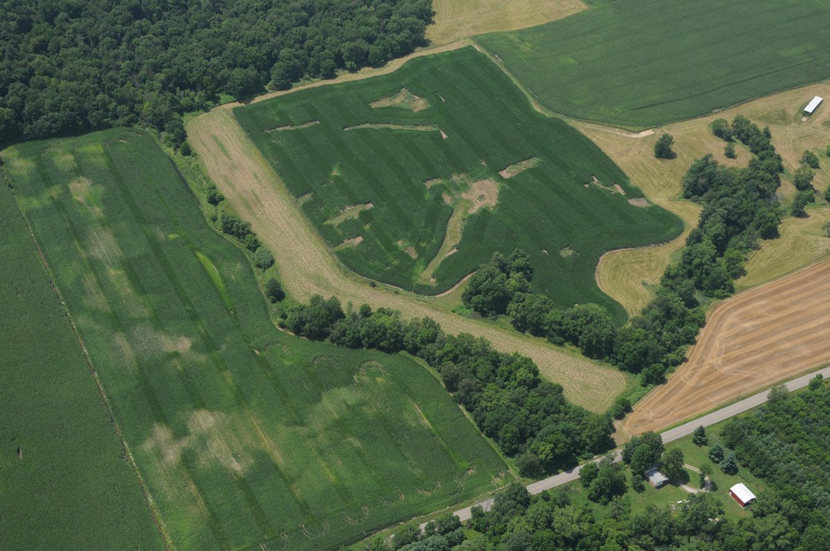 Property photo 33 - 146+/- Acres Offered in 4 Tracts
