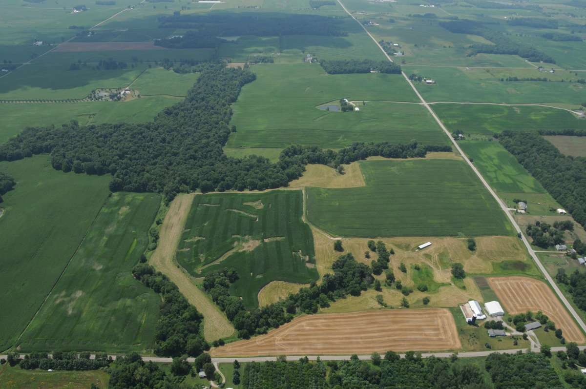 Property photo 35 - 146+/- Acres Offered in 4 Tracts
