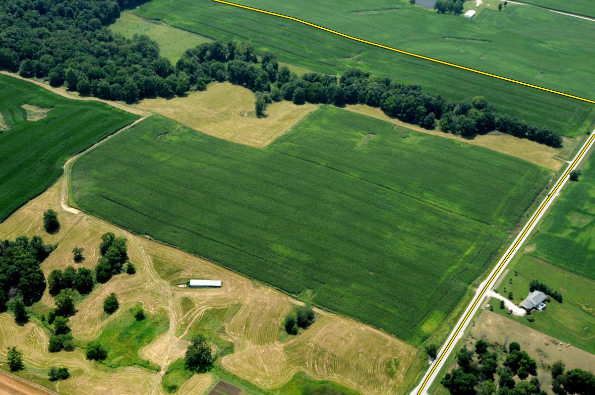 Property photo 25 - 146+/- Acres Offered in 4 Tracts