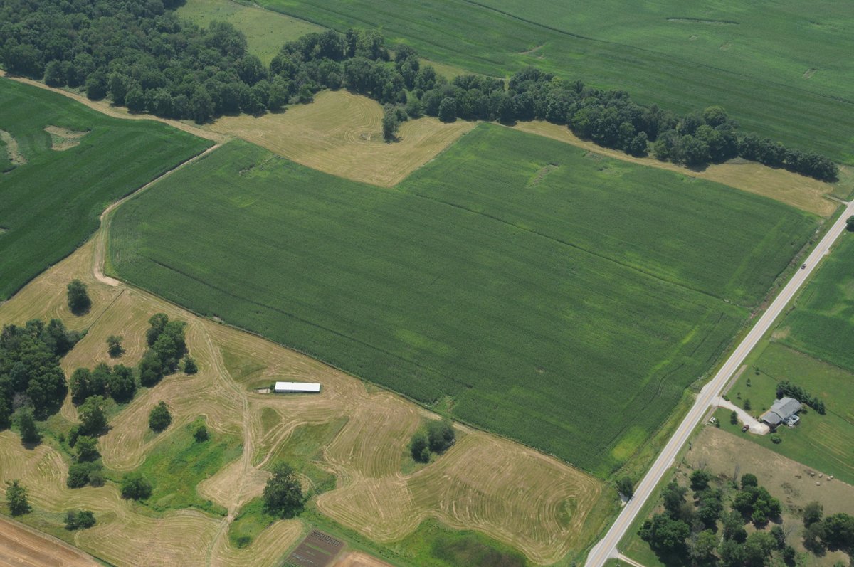 Property photo 2 - 146+/- Acres Offered in 4 Tracts