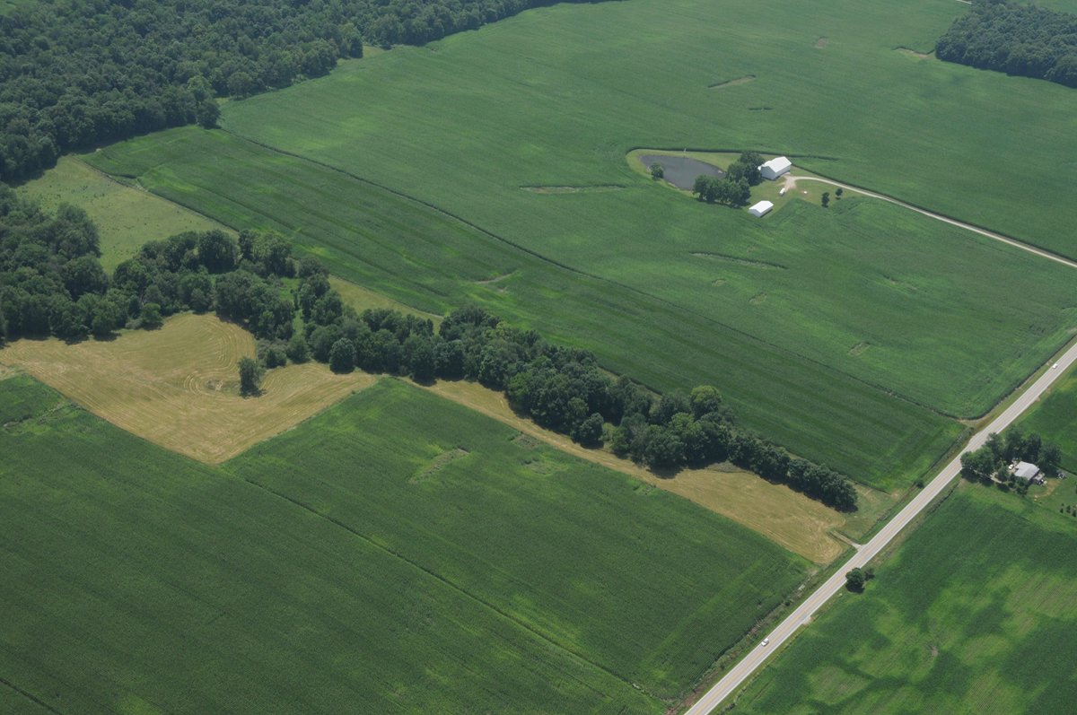 Property photo 8 - 146+/- Acres Offered in 4 Tracts