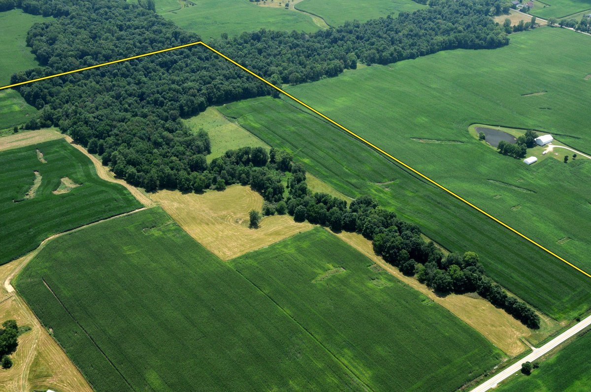 Property photo 7 - 146+/- Acres Offered in 4 Tracts