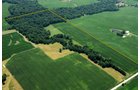 Property photo 7 - 146+/- Acres Offered in 4 Tracts
