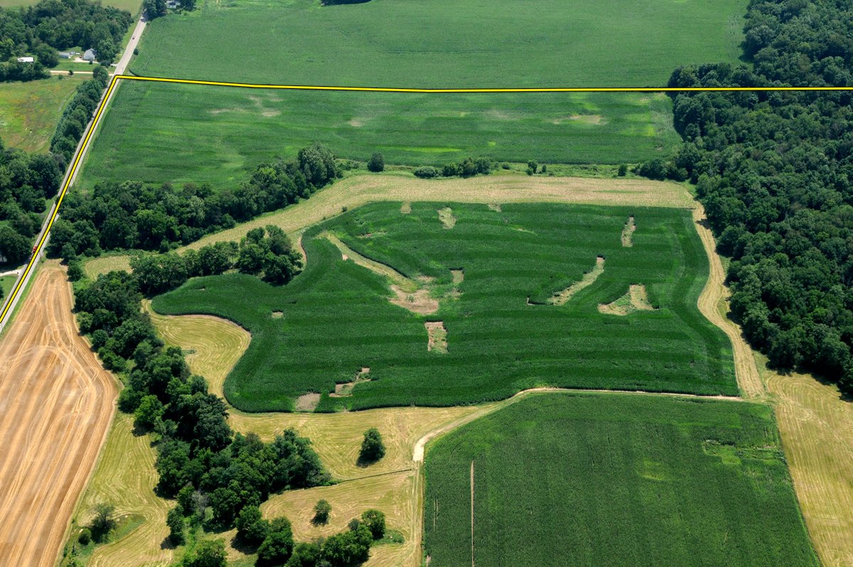 Property photo 39 - 146+/- Acres Offered in 4 Tracts