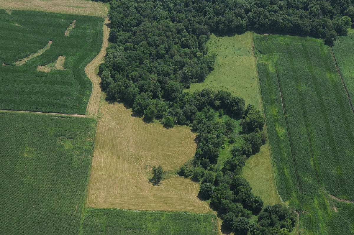 Property photo 46 - 146+/- Acres Offered in 4 Tracts