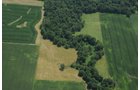 Property photo 46 - 146+/- Acres Offered in 4 Tracts