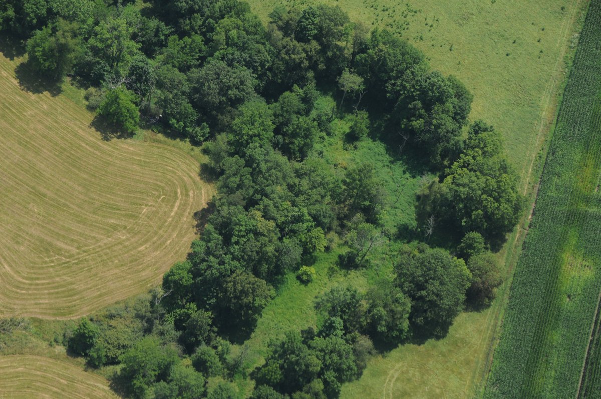 Property photo 31 - 146+/- Acres Offered in 4 Tracts