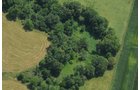 Property photo 31 - 146+/- Acres Offered in 4 Tracts