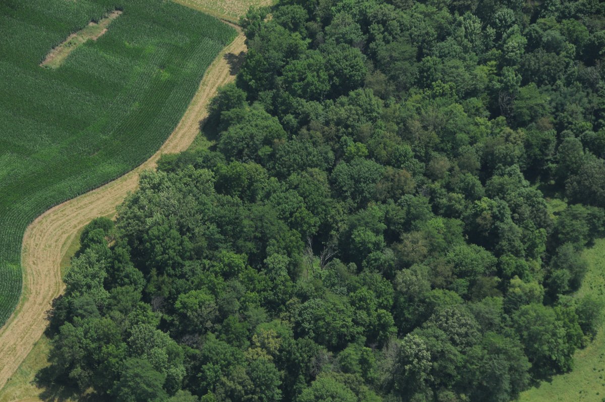 Property photo 29 - 146+/- Acres Offered in 4 Tracts