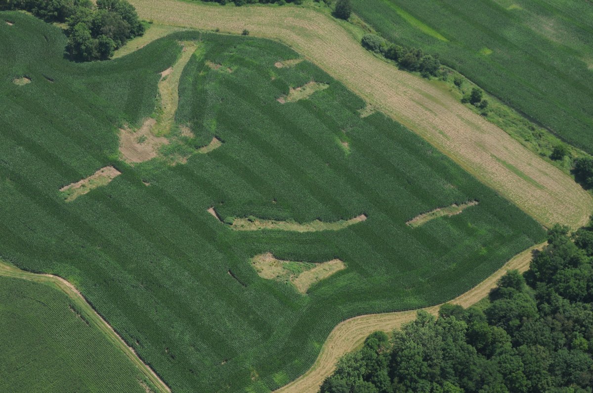 Property photo 40 - 146+/- Acres Offered in 4 Tracts