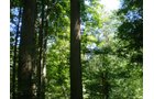Property photo 36 - 146+/- Acres Offered in 4 Tracts
