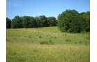 Property photo 4 - 146+/- Acres Offered in 4 Tracts