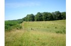 Property photo 44 - 146+/- Acres Offered in 4 Tracts
