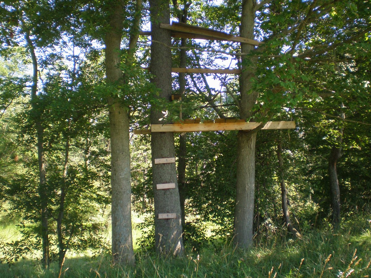 Property photo 11 - 146+/- Acres Offered in 4 Tracts