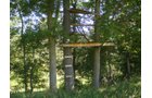 Property photo 11 - 146+/- Acres Offered in 4 Tracts