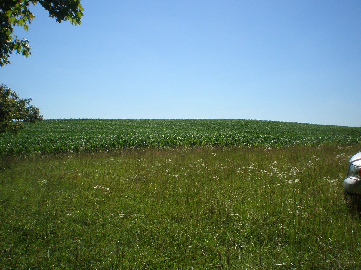 Property photo 16 - 146+/- Acres Offered in 4 Tracts
