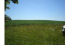 Property photo 16 - 146+/- Acres Offered in 4 Tracts
