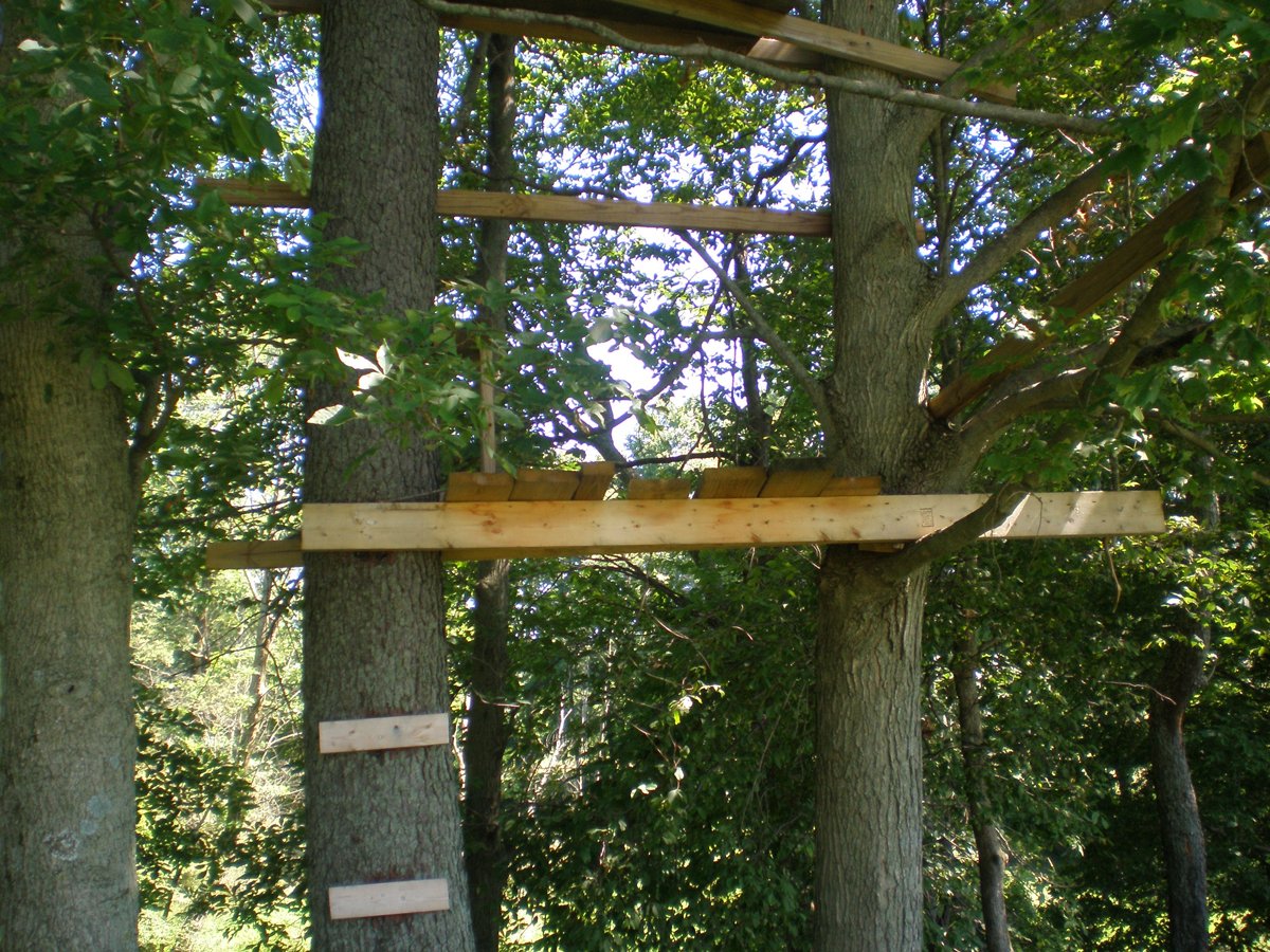 Property photo 1 - 146+/- Acres Offered in 4 Tracts