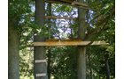 Property photo 1 - 146+/- Acres Offered in 4 Tracts