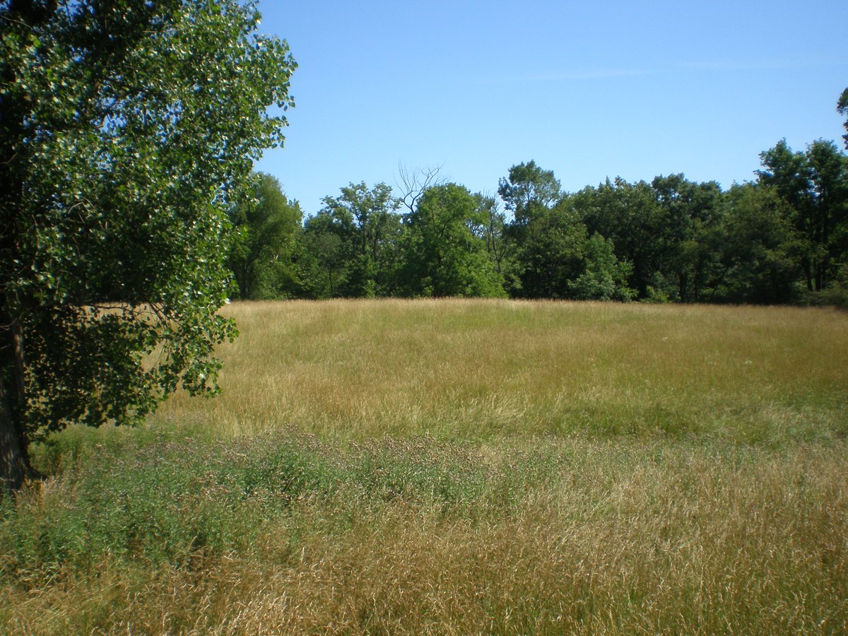 Property photo 13 - 146+/- Acres Offered in 4 Tracts