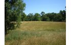 Property photo 13 - 146+/- Acres Offered in 4 Tracts