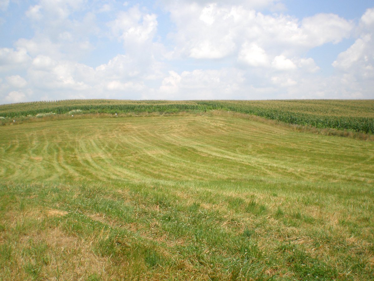 Property photo 18 - 146+/- Acres Offered in 4 Tracts
