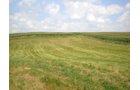 Property photo 18 - 146+/- Acres Offered in 4 Tracts