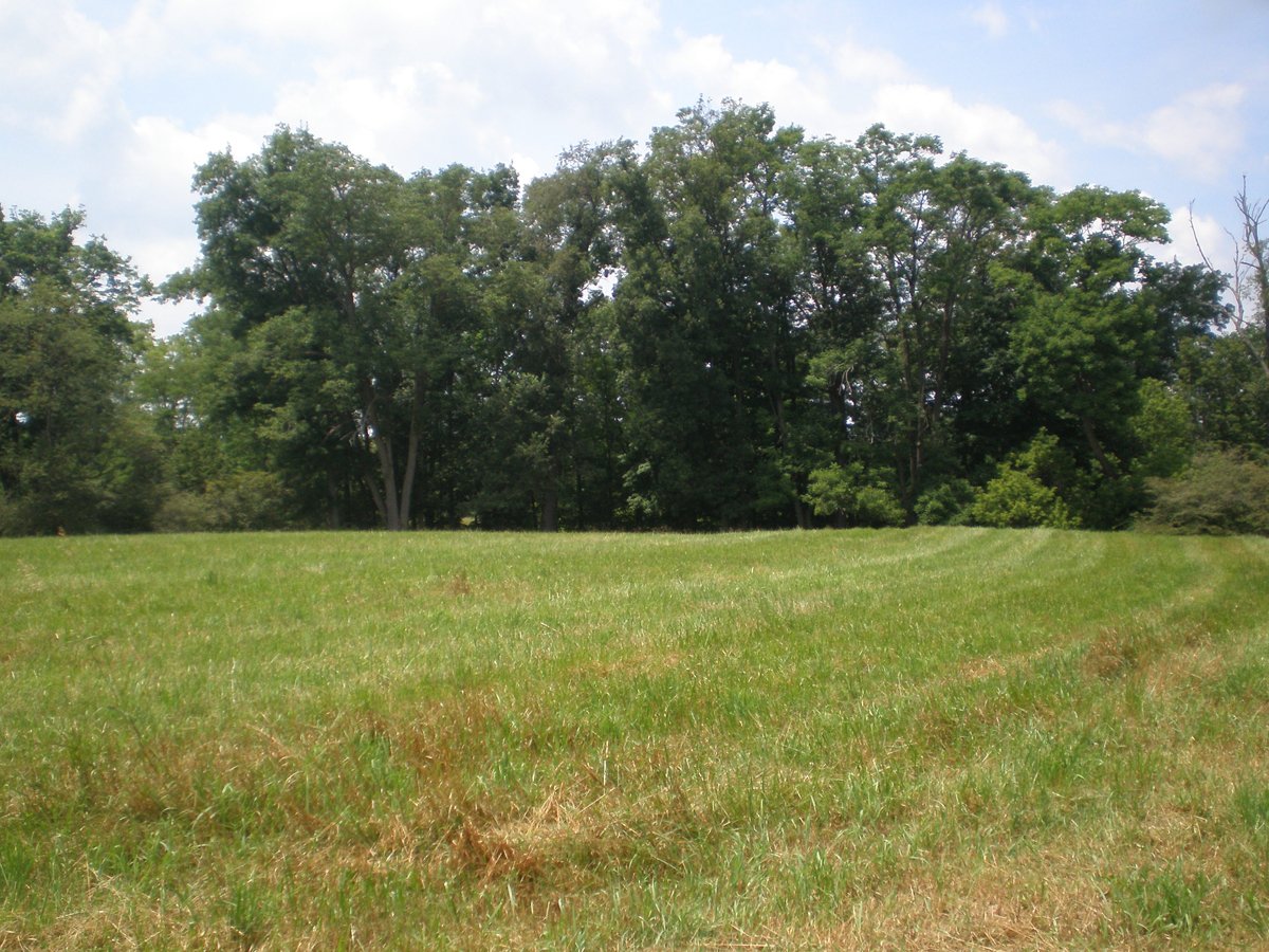 Property photo 21 - 146+/- Acres Offered in 4 Tracts