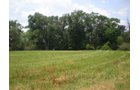 Property photo 21 - 146+/- Acres Offered in 4 Tracts