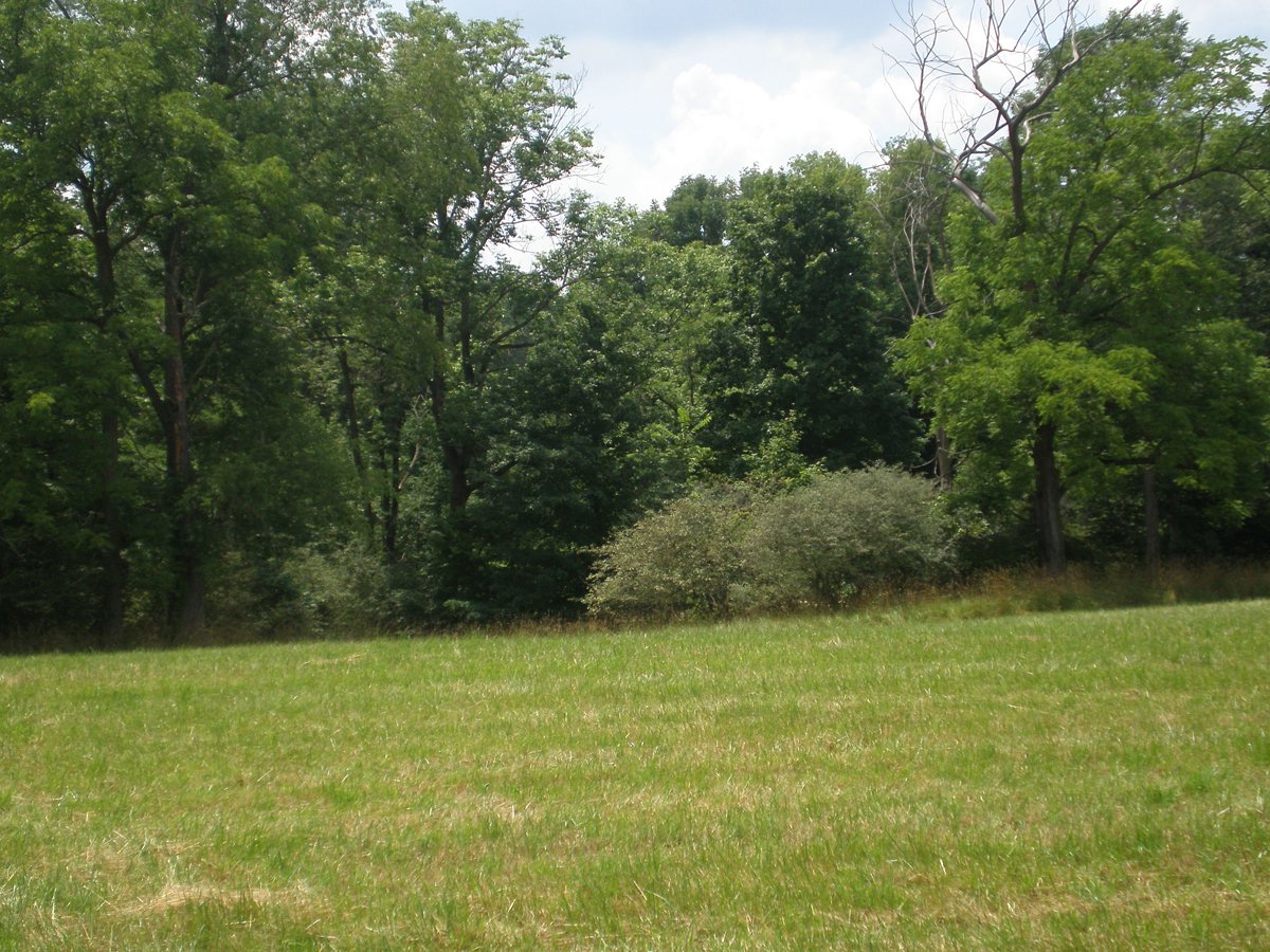 Property photo 10 - 146+/- Acres Offered in 4 Tracts